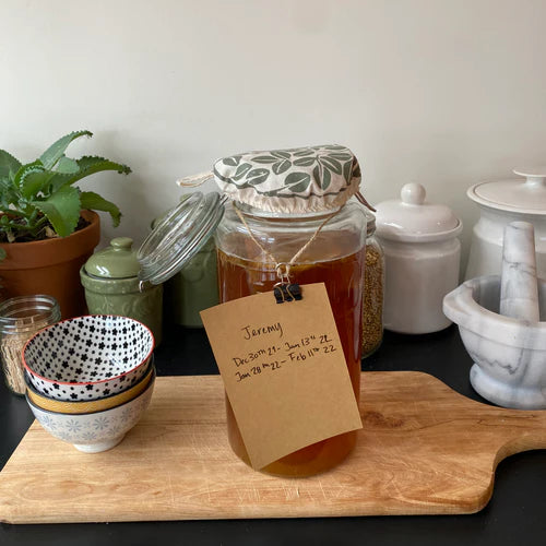 Kombucha Basics for Beginners