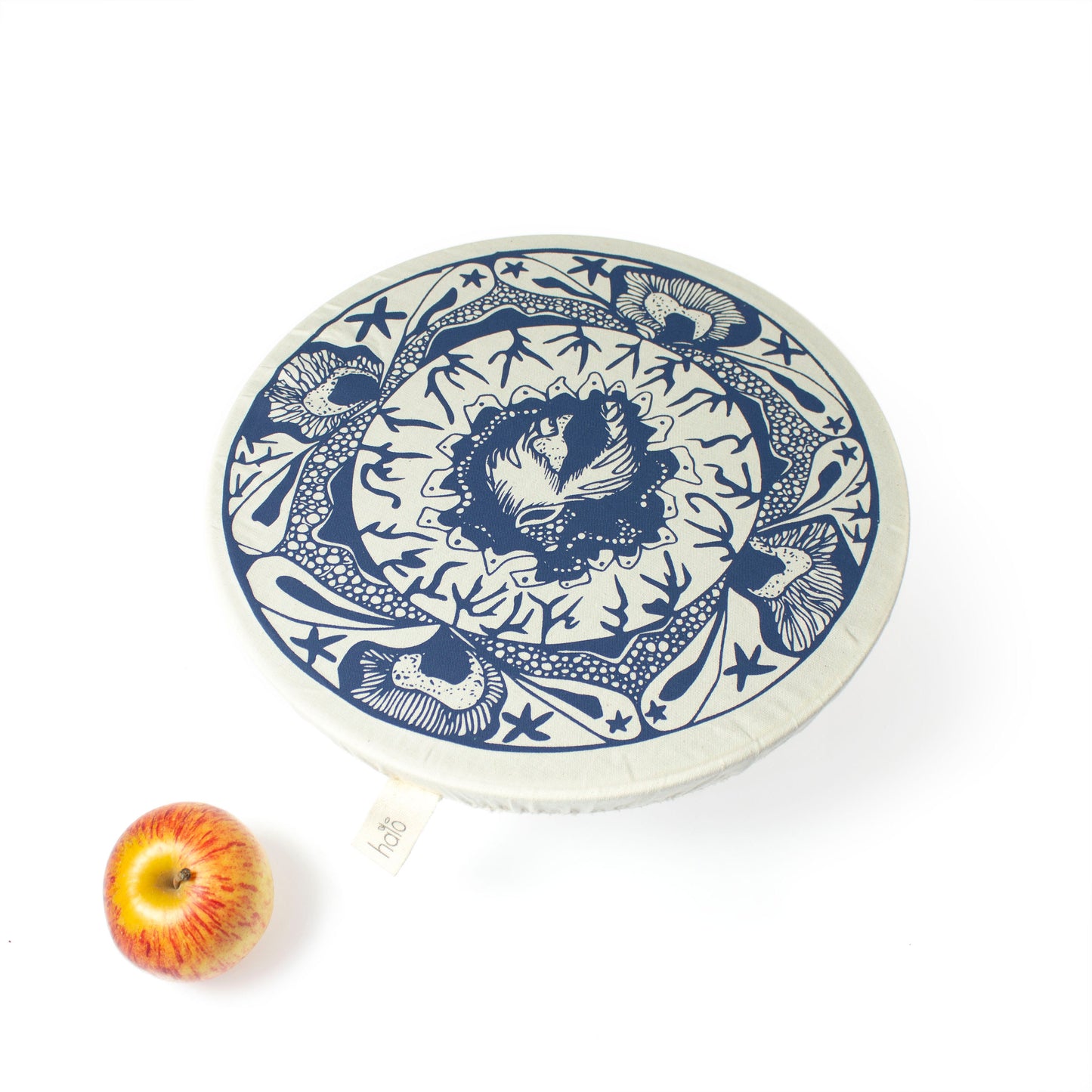 Halo Dish and Bowl Cover Large Starfish | Anushka Davids